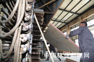 告別斧鋸，森工轉(zhuǎn)型 餐飲服務(wù)開辟綠色新紅利